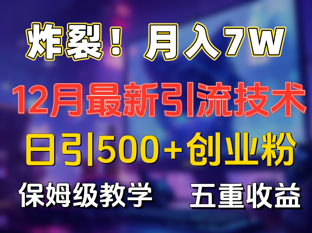 炸裂！月入7W+揭秘12月最新日引流500+精准创业粉，多重收益保姆级教学-艾莉资源