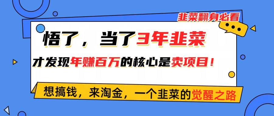 悟了，当了3年韭菜，才发现网赚圈年赚100万的核心是卖项目，含泪分享！-艾莉资源