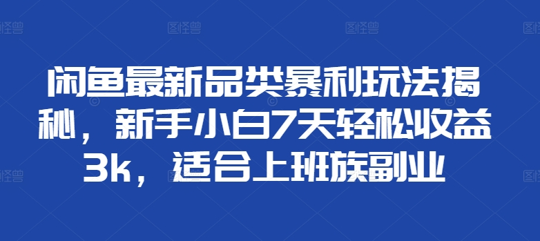 闲鱼最新品类暴利玩法揭秘，新手小白7天轻松赚3000+，适合上班族副业-艾莉资源