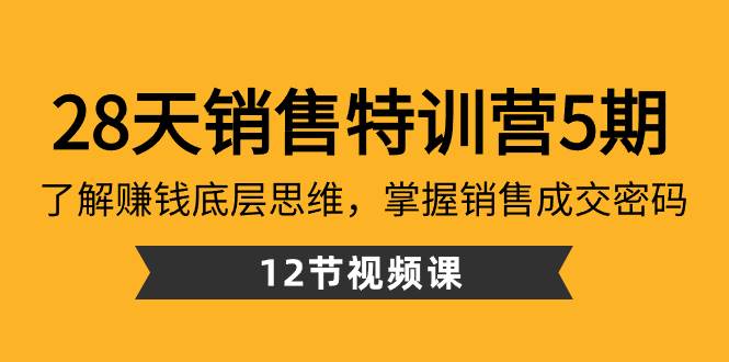 28天·销售特训营5期：了解赚钱底层思维，掌握销售成交密码（12节课）-艾莉资源