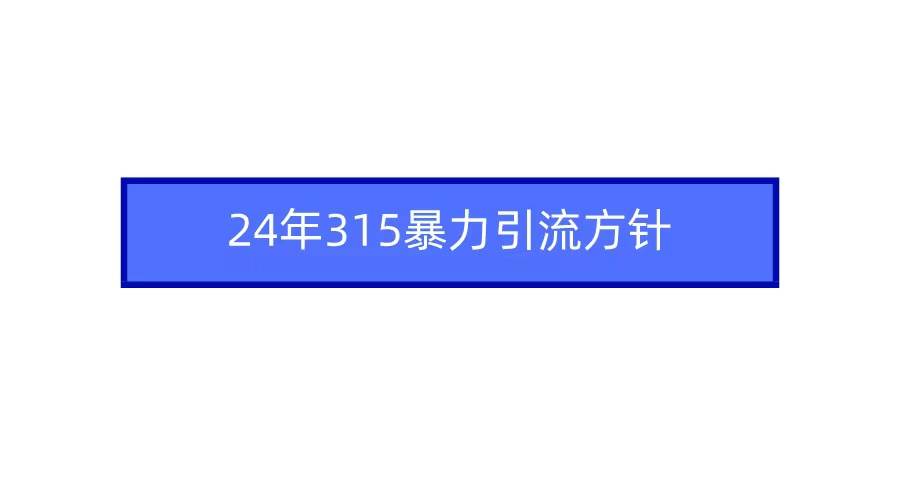 2024年315暴力引流方针-艾莉资源