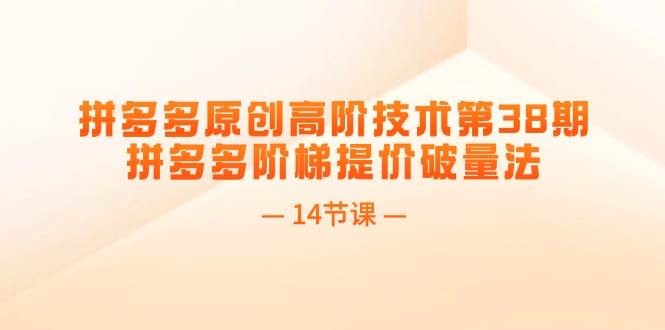 拼多多原创高阶技术第38期，拼多多阶梯提价破量法（14节课）-艾莉资源