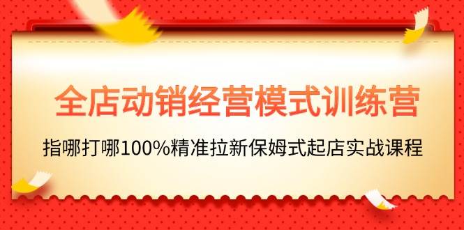 全店动销-经营模式训练营，指哪打哪100%精准拉新保姆式起店实战课程-艾莉资源