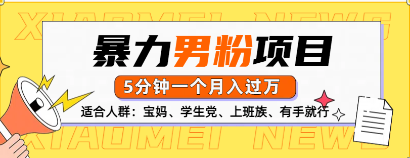 男粉项目，5分钟一个，无脑月入五位数-艾莉资源