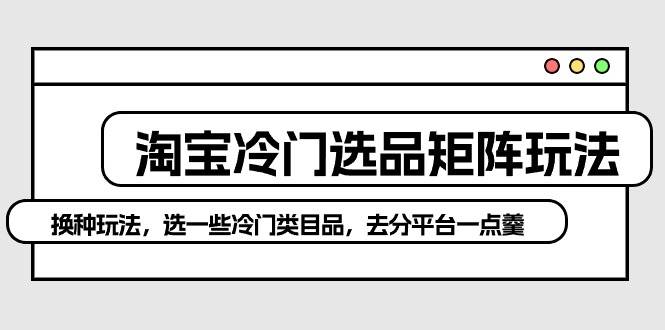 淘宝冷门选品矩阵玩法：换种玩法，选一些冷门类目品，去分平台一点羹-艾莉资源