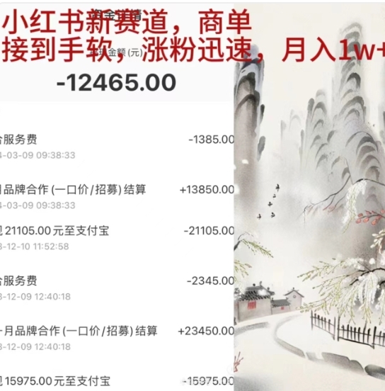 小红书新赛道，商单接到手软，涨粉迅速，一个月1w+-艾莉资源