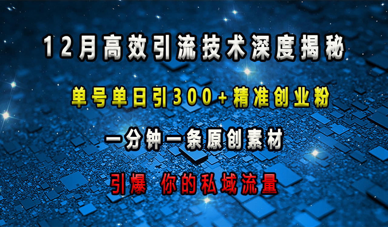 12月高效引流技术深度揭秘 ，单号单日引300+精准创业粉，一分钟一条原创素材，引爆你的私域流量-艾莉资源