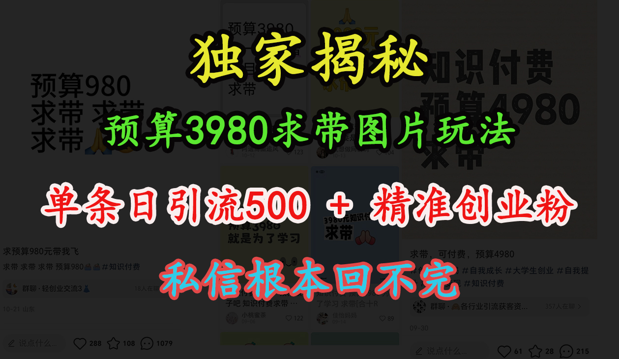 “小红书”预算3980求带 图片玩法，单条日引流500+精准创业粉，私信根本回不完-艾莉资源