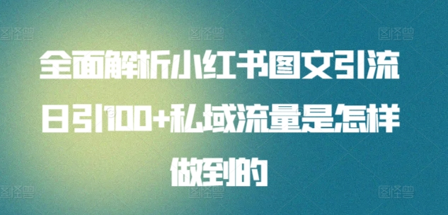 全面解析小红书图文引流日引100私域流量是怎样做到的-艾莉资源