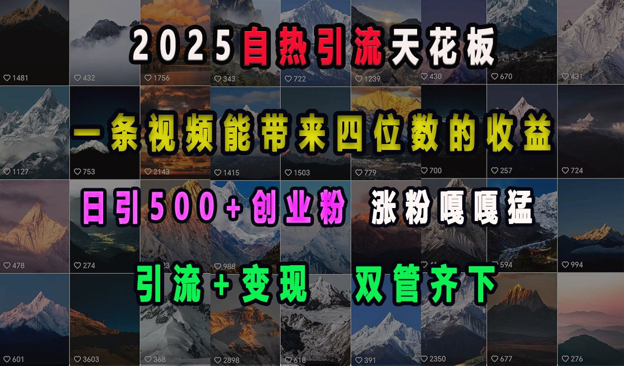 2025自热引流天花板，一条视频能带来四位数的收益，引流+变现双管齐下，日引500+创业粉，涨粉嘎嘎猛-艾莉资源