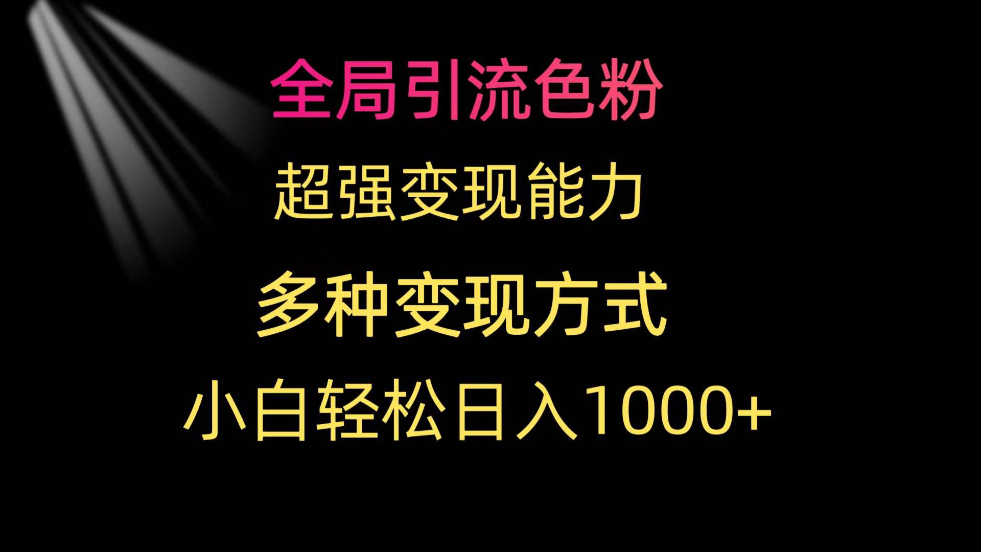 全局引流色粉 超强变现能力 多种变现方式 小白轻松日入1000+-艾莉资源