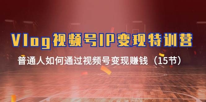 Vlog 视频号IP变现特训营，普通人如何通过视频号变现赚钱（15节）-艾莉资源