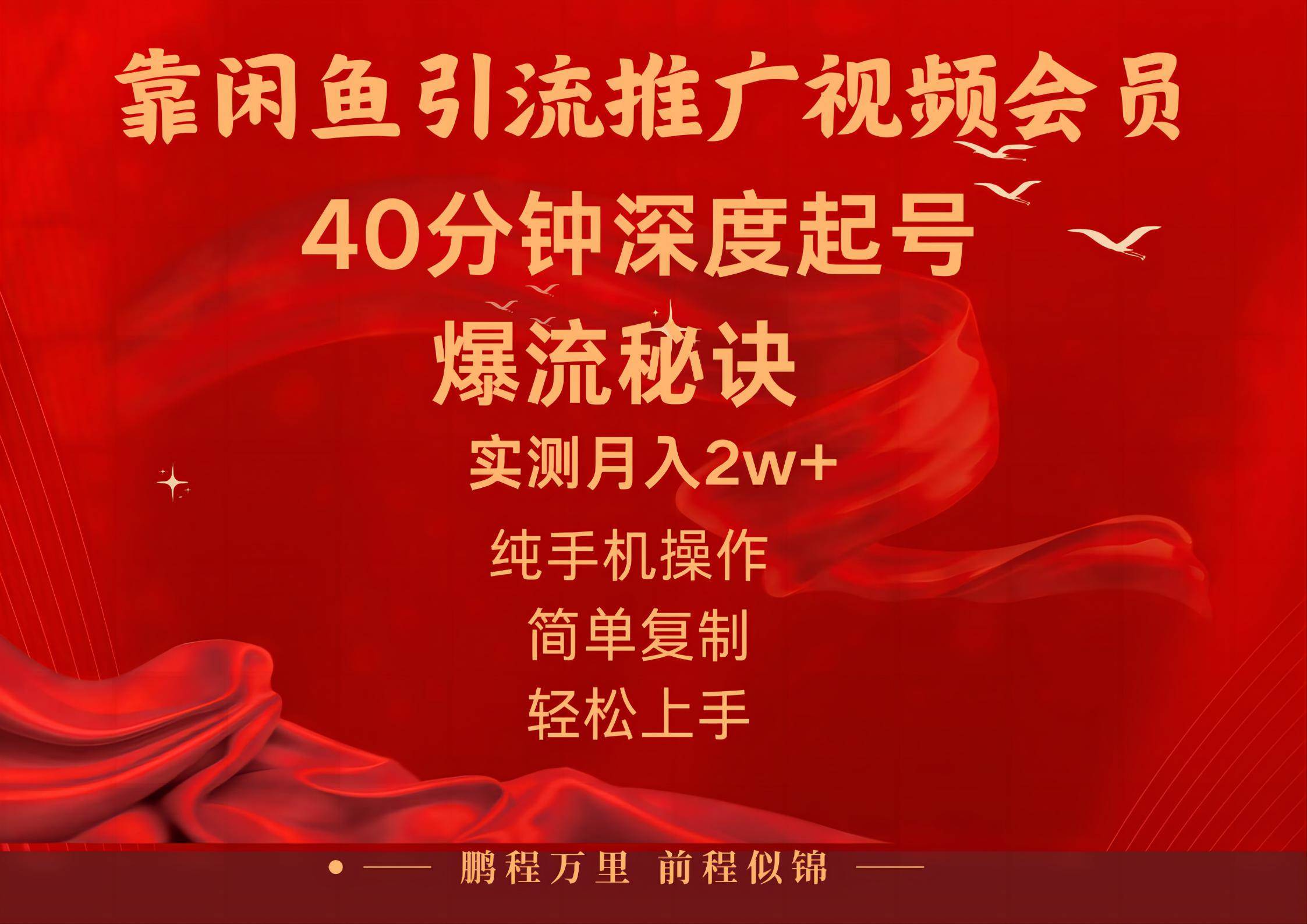 闲鱼暴力引流推广视频会员，能做到日入2W+，操作简单-艾莉资源