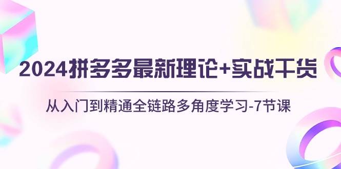 2024拼多多 最新理论+实战干货，从入门到精通全链路多角度学习-7节课-艾莉资源