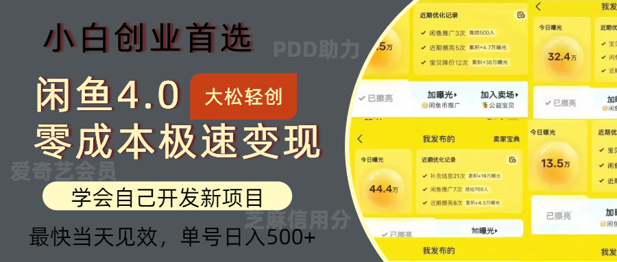 闲鱼0成本极速变现项目，多种变现方式，单号日入500+最新玩法-艾莉资源