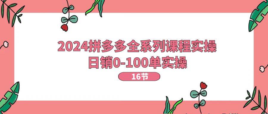 2024拼多多全系列课程实操，日销0-100单实操【16节课】-艾莉资源