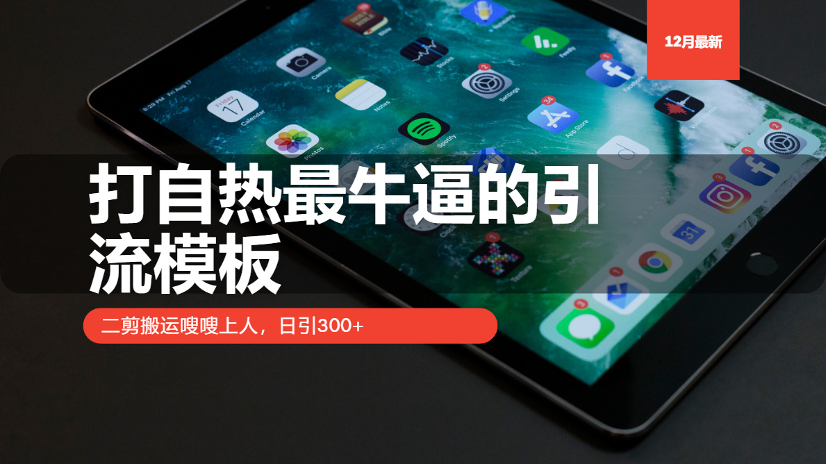 打自热最牛逼的引流模板，日引300+，二剪搬运嗖嗖上人-艾莉资源
