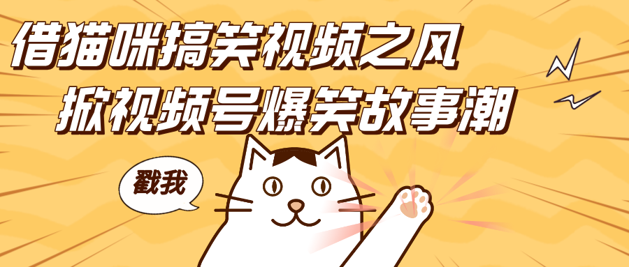 借猫咪搞笑视频之风，掀视频号爆笑故事潮，轻松日赚四位数，开启无门槛赚钱新体验！-艾莉资源