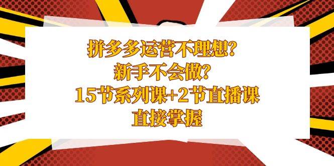 拼多多运营不理想？新手不会做？15节系列课+2节直播课，直接掌握-艾莉资源