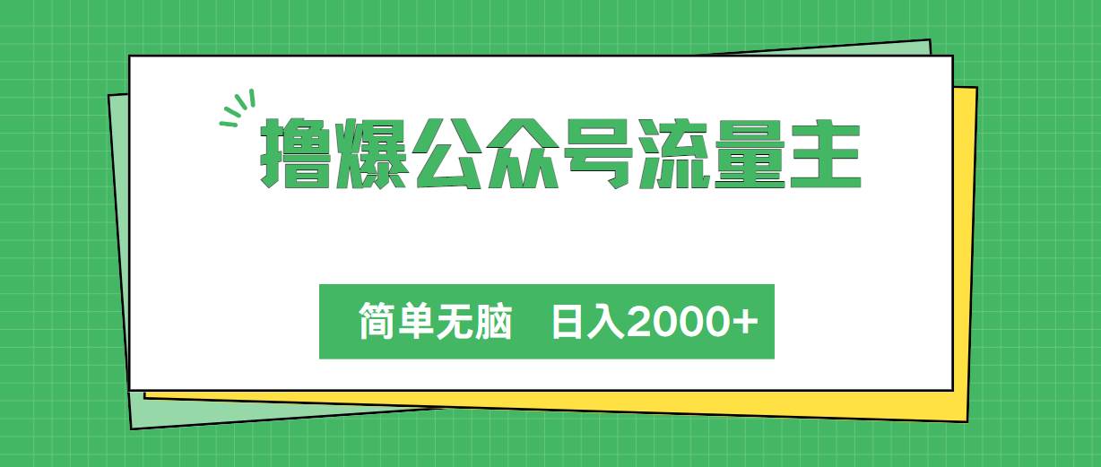 撸爆公众号流量主，简单无脑，单日变现2000+-艾莉资源