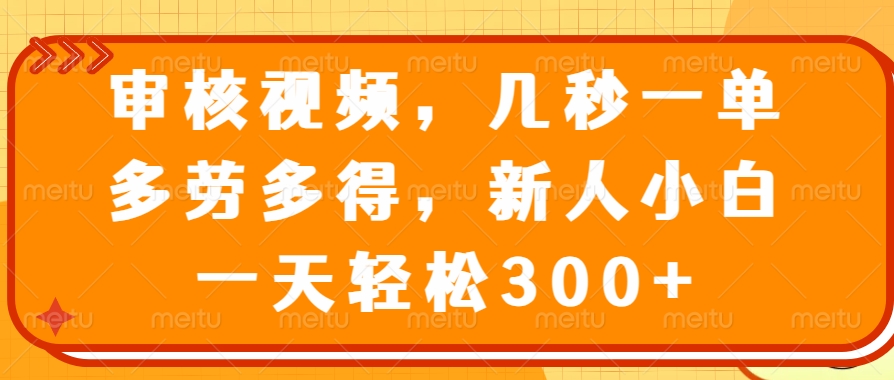 审核视频项目，几秒一单，多劳多得，新人小白一天轻松300+-艾莉资源