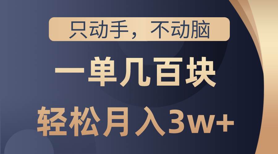 只动手不动脑，一单几百块，轻松月入3w+，看完就能直接操作，详细教程-艾莉资源