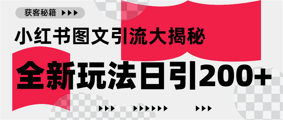 小红书图文引流，只需一张图片即可撬动百万流量，日引200+创业粉-艾莉资源