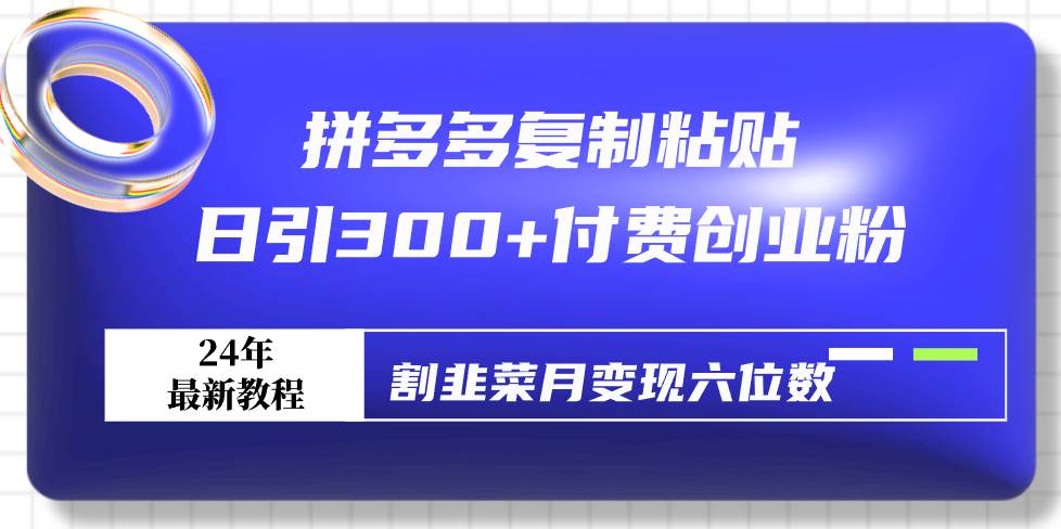 拼多多复制粘贴日引300+付费创业粉，割韭菜月变现六位数最新教程！-艾莉资源