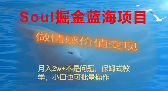 Soul掘金蓝海项目细分赛道，做情感价值变现，月入2w+不是问题-艾莉资源