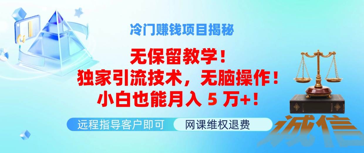 冷门赚钱项目无保留教学！独家引流技术，无脑操作！小白也能月入5万+！-艾莉资源