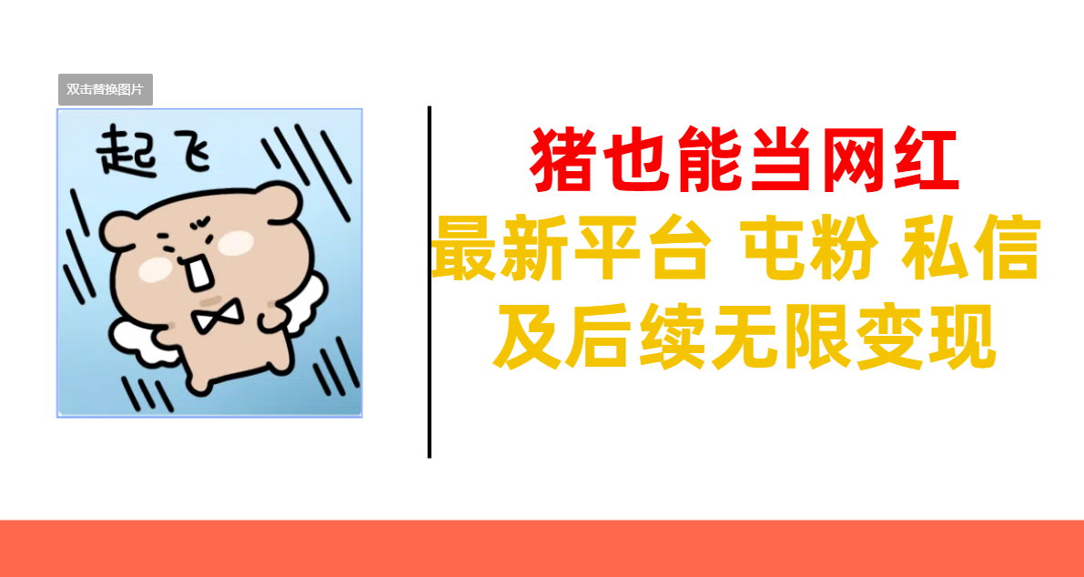 猪也能当网红-最新平台 屯粉 交流 私信 及后续无限变现-艾莉资源