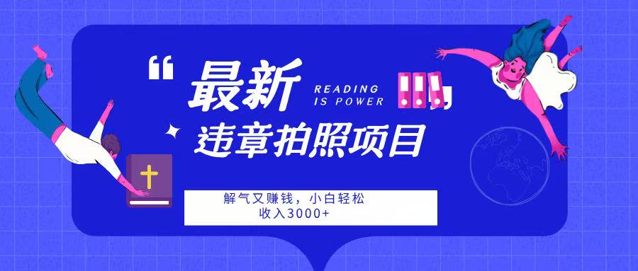 最新违章拍照项目，解气又赚钱，随手一拍，轻松收入3000-艾莉资源
