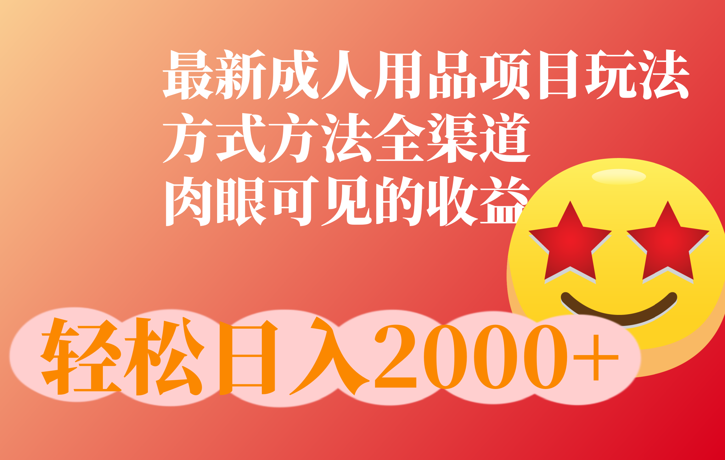 成人用品项目最新玩法，方式方法全渠道-艾莉资源