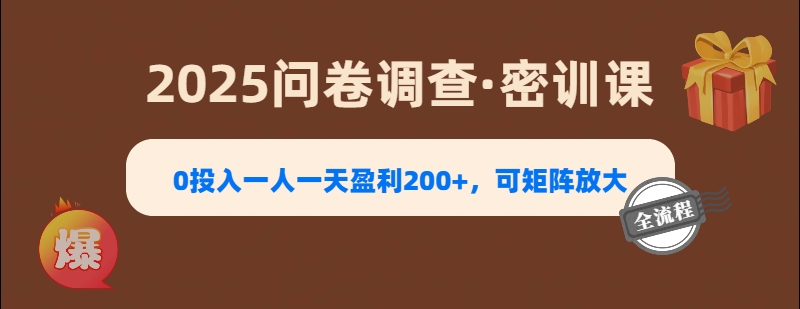 2025《问卷调查》0投入一人一天盈利200+，可矩阵放大-艾莉资源