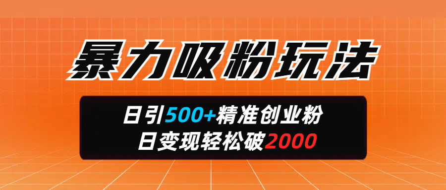 暴力吸粉玩法，日引500+精准创业粉，日变现轻松破2000-艾莉资源