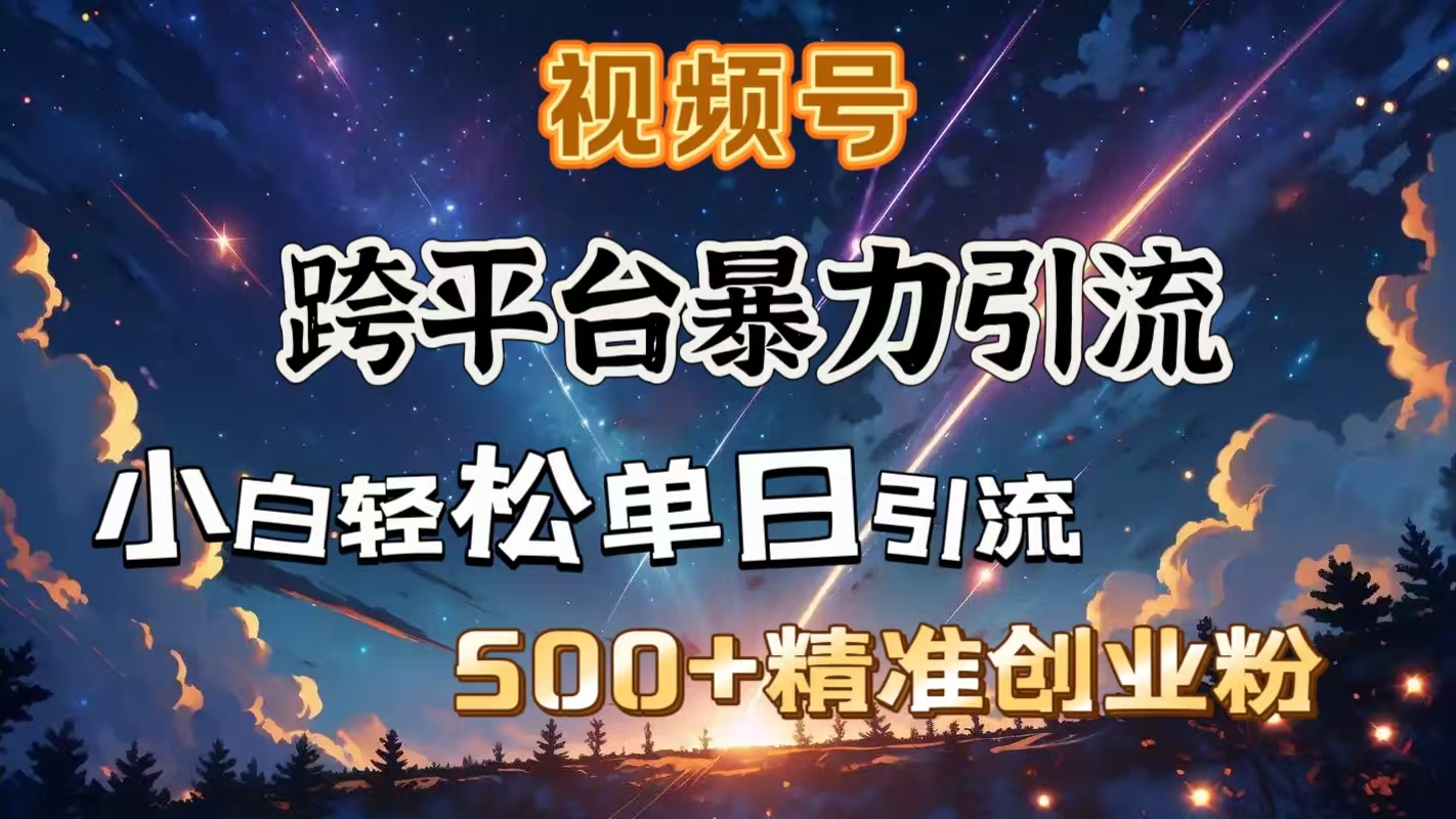 视频号跨平台暴力引流，小白轻松单日引流500＋精准创业粉-艾莉资源