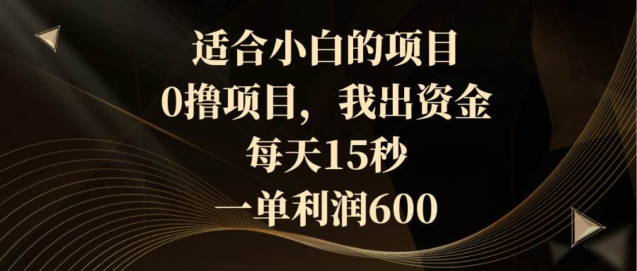 适合小白的项目，0撸项目，我出资金，每天15秒，一单利润600-艾莉资源