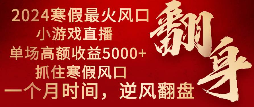 2024年最火寒假风口项目 小游戏直播 单场收益5000+抓住风口 一个月直接提车-艾莉资源