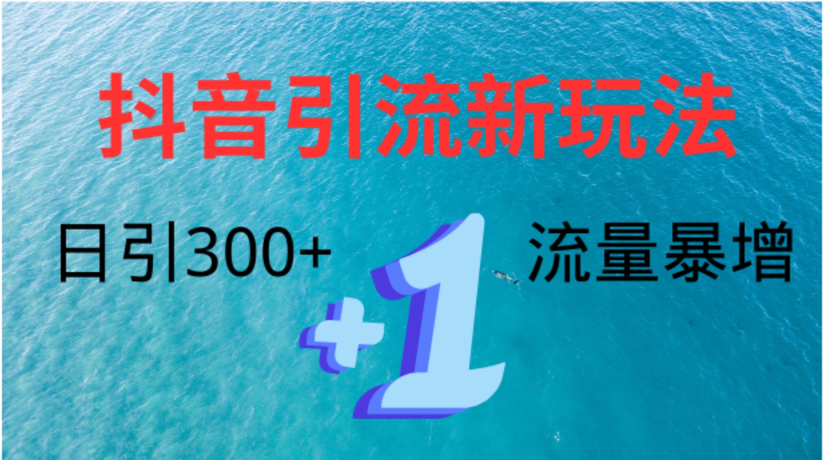 创业粉高效引流，抖音工具号玩法4.0，日引300+-艾莉资源