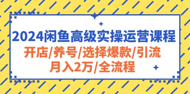 2024闲鱼高级实操运营课程：开店/养号/选择爆款/引流/月入2万/全流程-艾莉资源