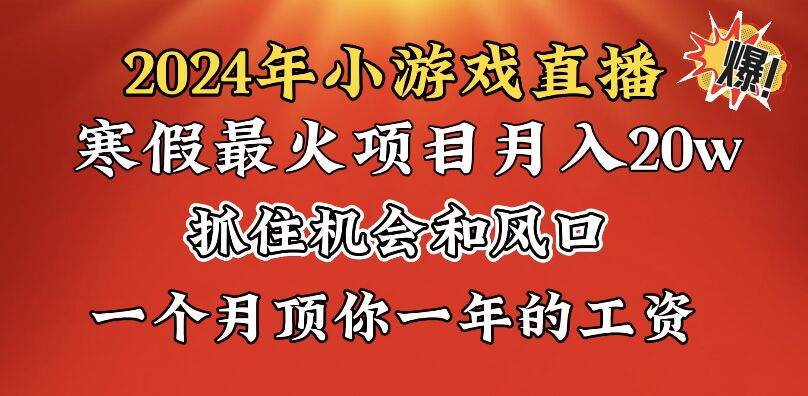 2024年寒假爆火项目，小游戏直播月入20w+，学会了之后你将翻身-艾莉资源