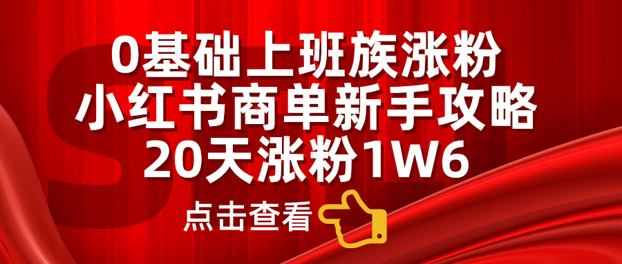 0基础上班族涨粉，小红书商单新手攻略，20天涨粉1.6w-艾莉资源