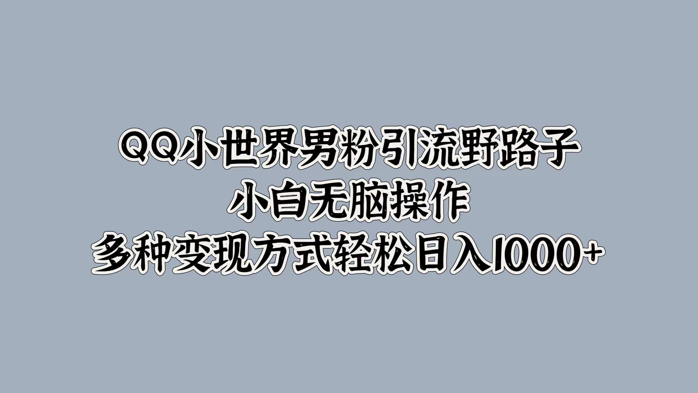 QQ小世界男粉引流野路子，小白无脑操作，多种变现方式轻松日入1000+-艾莉资源