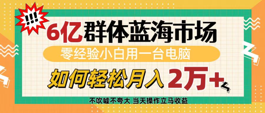 6亿群体蓝海市场，零经验小白用一台电脑，如何轻松月入2万+-艾莉资源