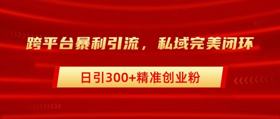 跨平台暴力引流，私域完美闭环，日引300+精准创业粉-艾莉资源