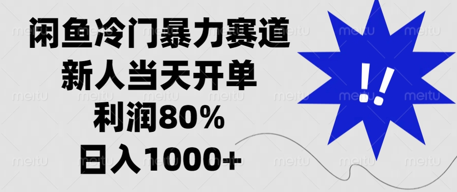 闲鱼冷门暴力赛道，利润80%，日入1000+新人当天开单，-艾莉资源