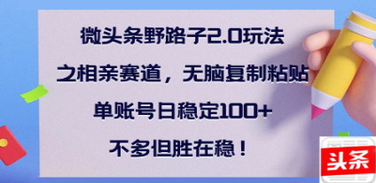 全网首发微头条野路子2.0玩法之相亲赛道，无脑搬砖复制粘贴，单账号日稳定300+保姆级教程-艾莉资源