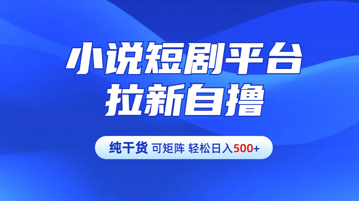 【纯干货】小说短剧平台拉新自撸玩法详解-单人轻松日入500+-艾莉资源