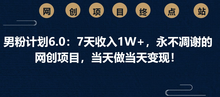 男粉计划6.0：7天收入1W+，永不凋谢的网创项目，当天做当天变现！-艾莉资源