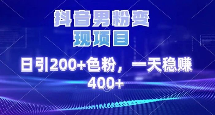 2025最新男粉项目 日引200 轻松月入2w+-艾莉资源